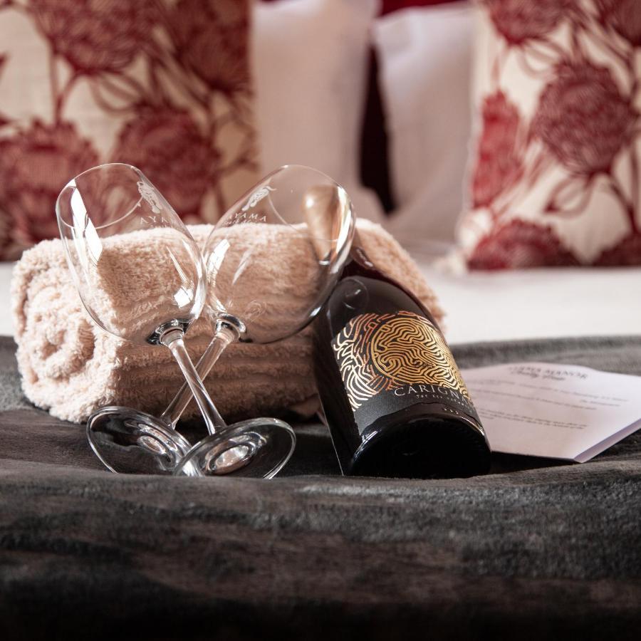 Ayama Wine Farm - Manor House Bed & Breakfast Wellington Eksteriør bilde