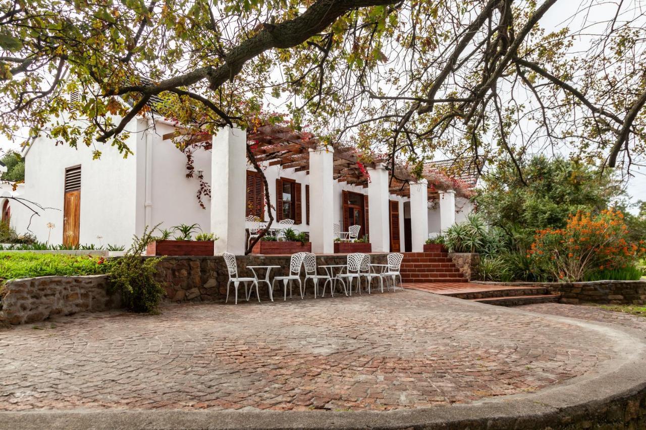 Ayama Wine Farm - Manor House Bed & Breakfast Wellington Eksteriør bilde