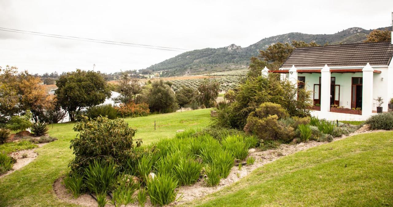Ayama Wine Farm - Manor House Bed & Breakfast Wellington Eksteriør bilde