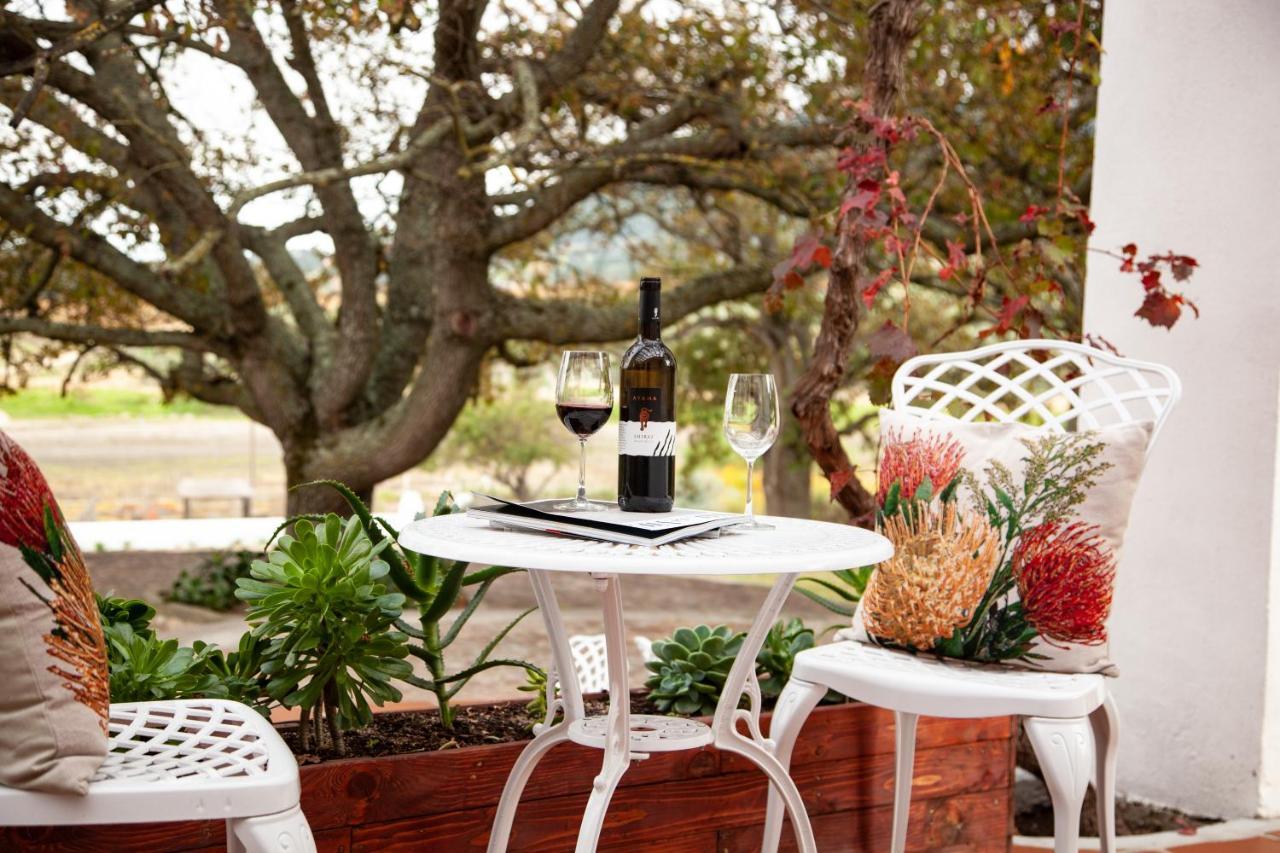 Ayama Wine Farm - Manor House Bed & Breakfast Wellington Eksteriør bilde